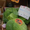 hokkaido_668.jpg