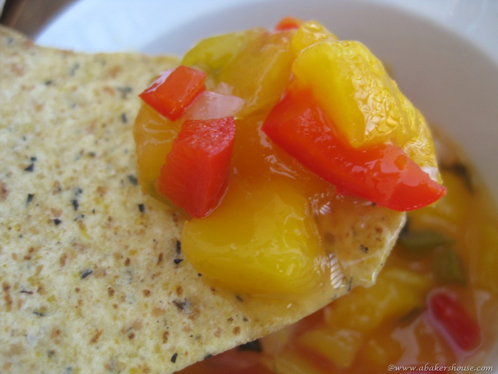 [mango%2520salsa%255B8%255D.jpg]