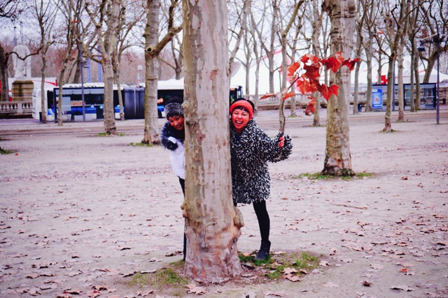found branch.jpg found branch