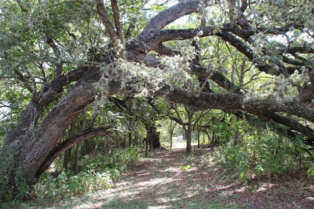 [IMG_3980%255B4%255D.jpg]