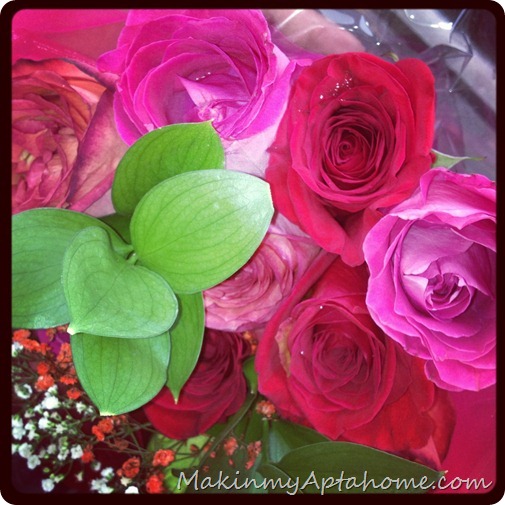 IMG_3798 IMG_3798