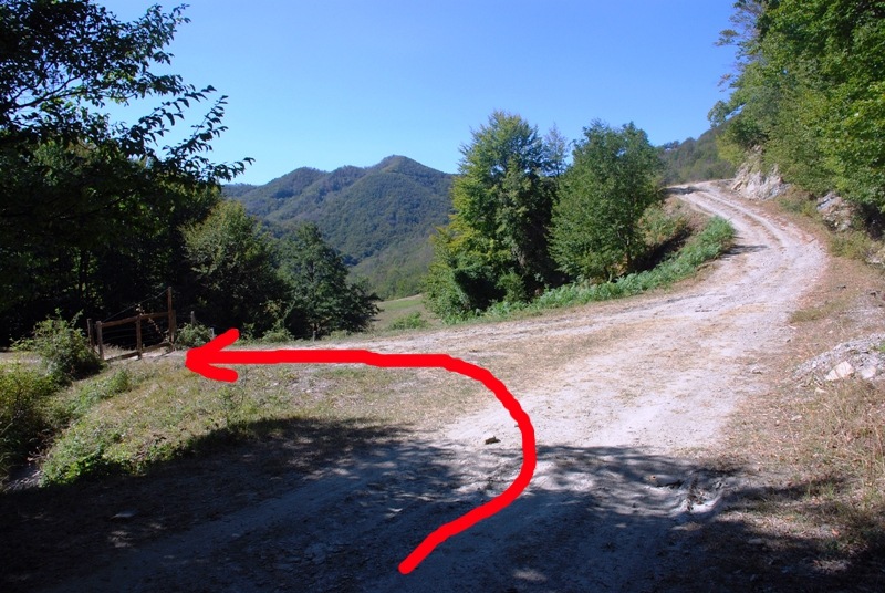 [16bivio2.jpg]