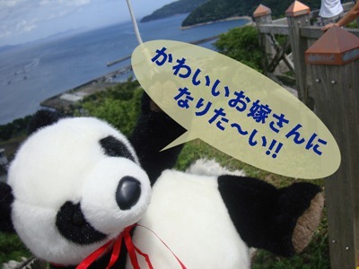 DSC03736 DSC03736
