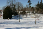 Snow-covered garden in Waterloo Park.jpg