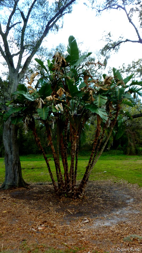 [Kapock%2520park%2520Clearwater_001%255B8%255D.jpg]