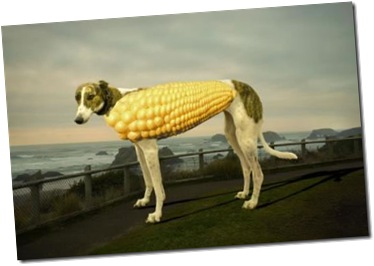 corndog