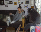 According to a Tuft's University study, cats in smoking homes were at triple the risk for lymphoma. And pets are affected even when you are not lighting up. Since carcinogens are absorbed in their fur, the detrimental effects are ongoing. As cats and dogs lick their fur, they ingest the toxins that way, too. According to a Tuft's University study, cats in smoking homes were at triple the risk for lymphoma. And pets are affected even when you are not lighting up. Since carcinogens are absorbed in their fur, the detrimental effects are ongoing. As cats and dogs lick their fur, they ingest the toxins that way, too.