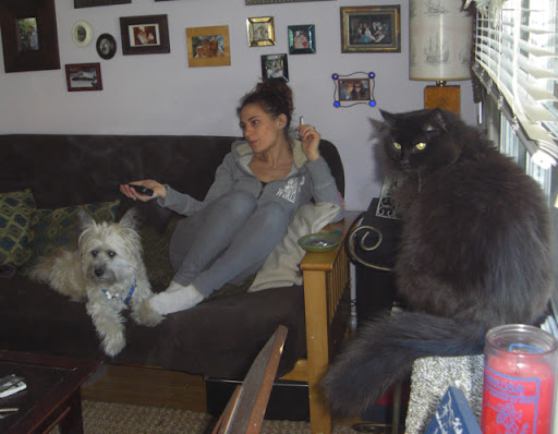 According to a Tuft's University study, cats in smoking homes were at triple the risk for lymphoma. And pets are affected even when you are not lighting up. Since carcinogens are absorbed in their fur, the detrimental effects are ongoing. As cats and dogs lick their fur, they ingest the toxins that way, too. According to a Tuft's University study, cats in smoking homes were at triple the risk for lymphoma. And pets are affected even when you are not lighting up. Since carcinogens are absorbed in their fur, the detrimental effects are ongoing. As cats and dogs lick their fur, they ingest the toxins that way, too.