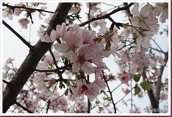IMG_2641 IMG_2641