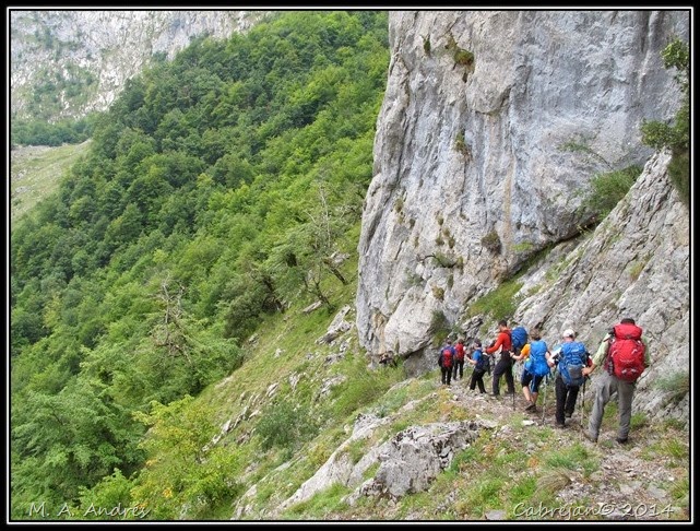 Picos 782 Picos 782
