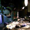 lab - brain slices 016.JPG