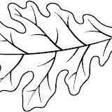 LEAF16_BW.jpg