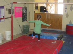 IMG_1803-crop IMG_1803-crop