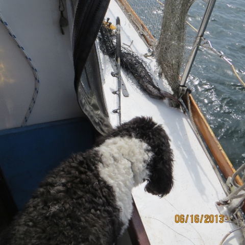 IMG_0430.jpg IMG 0430