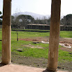 DSCN1690.JPG