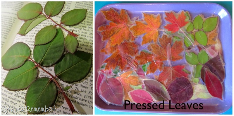 [Pressed%2520Leaves%255B5%255D.jpg]