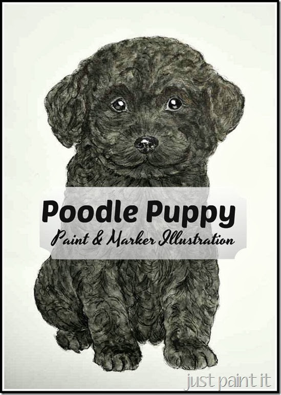 Poodle-Puppy-Illustration