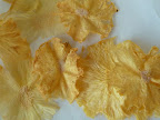 The pineapple 