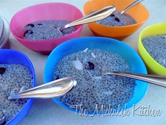 Blueberry Coconut Chia Pudding