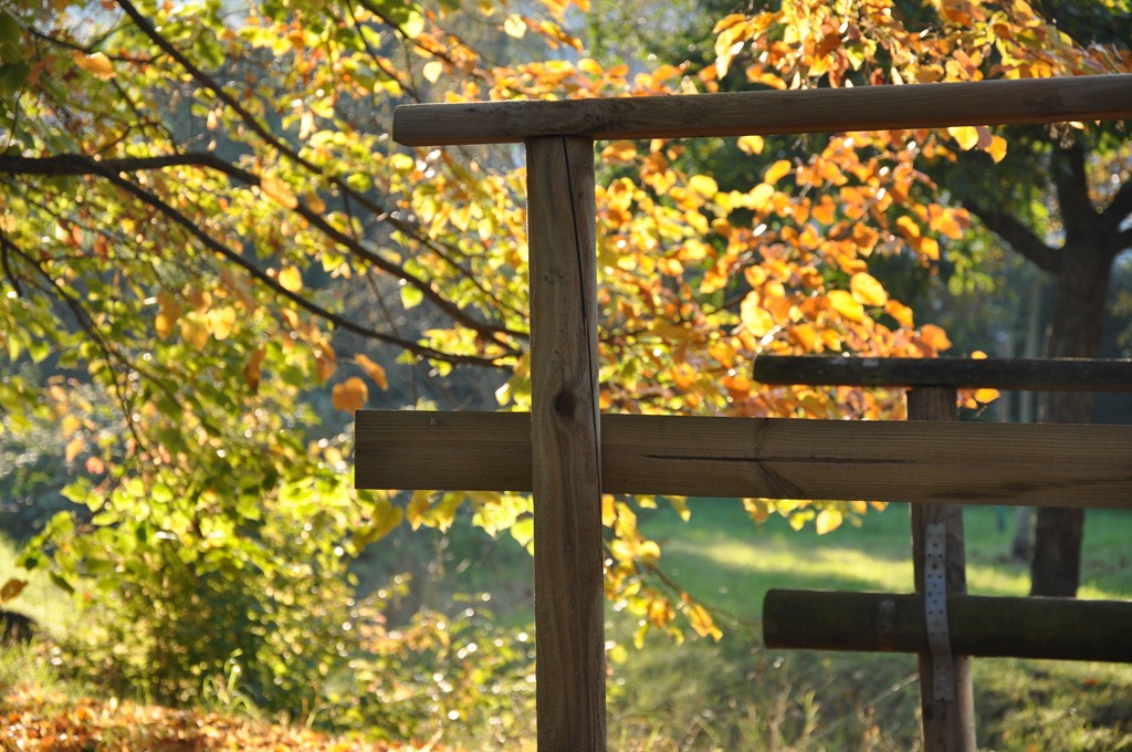 [DSC_1836%255B3%255D.jpg]