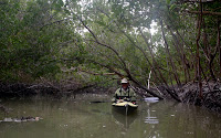 P1160003.JPG