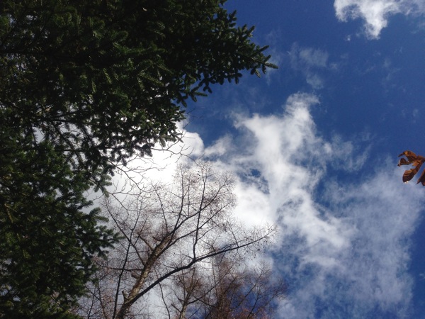IMG_0077.jpg IMG 0077