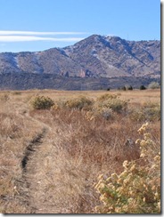 mile 10 red rocks amphitheatre