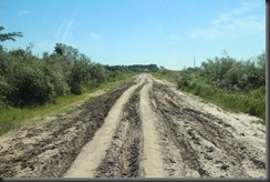 IMG_2404 IMG_2404