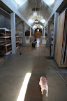 Wow, it's pretty empty up here!  We better remind Betsy to order more hay, right away!