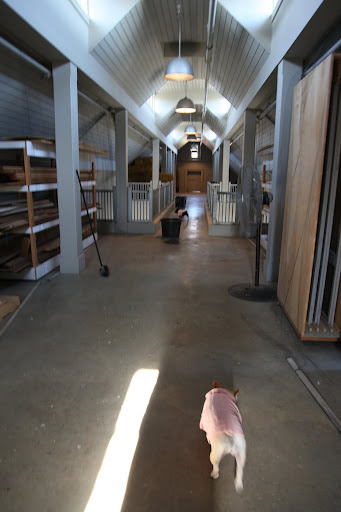 Wow, it's pretty empty up here!  We better remind Betsy to order more hay, right away!
