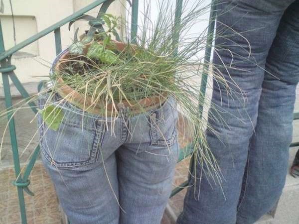 [Imagens%2520engra%25C3%25A7adas%2520e%2520curiosas%252015%255B2%255D.jpg]