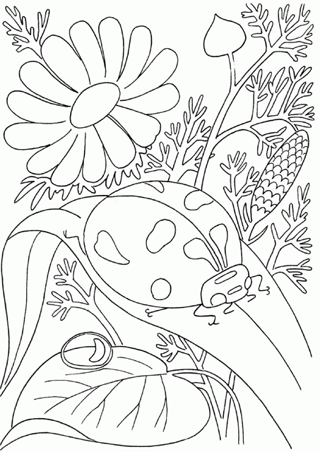 [insects_coloring_pages%2520%252818%2529%255B1%255D.png]