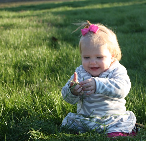 [IMG_2488%255B3%255D.jpg]