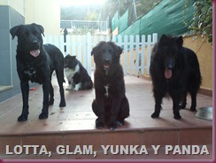 IMG359 IMG359