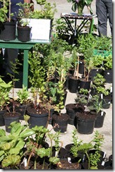 bloggebilder 014