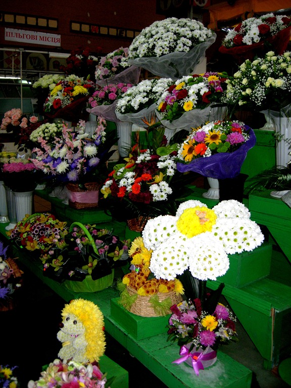 [DSCN04683.jpg]