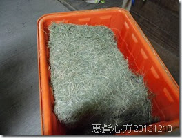 CIMG0172 CIMG0172