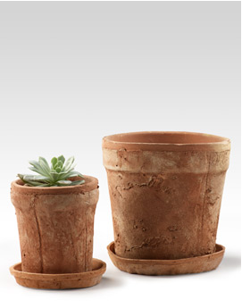 I like that these terra cotta pots are unrefined. It makes them look more authentic and rustic. (jamaligarden.com) I like that these terra cotta pots are unrefined. It makes them look more authentic and rustic. (jamaligarden.com)