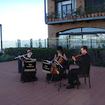 DSC01582.JPG