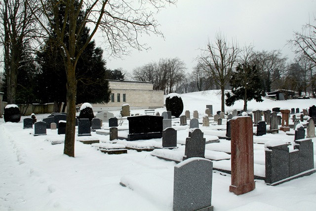 [IMG_19273.jpg]