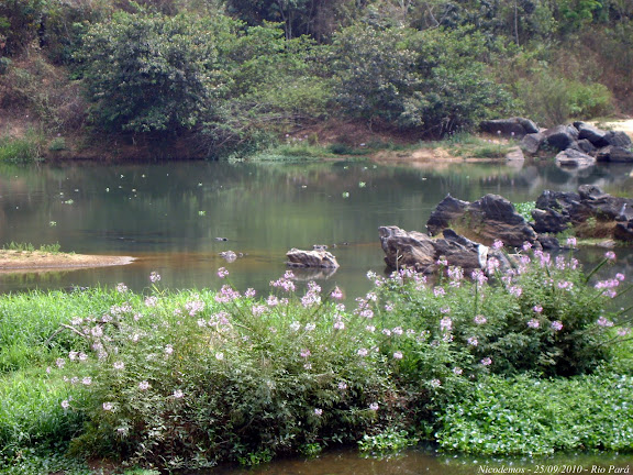 Lépidoptères de Pitangui au Minas Gerais - Le Rio Para près de Pitangui (MG, Brésil), 25 septembre 2010. Photo : Nicodemos Rosa