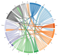Neo4j Chord Diagram Example 2