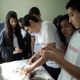 DSC06415.JPG