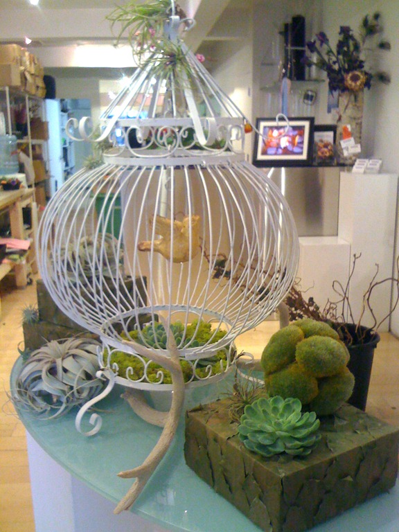 [Mandy_Scott_shop6.jpg]