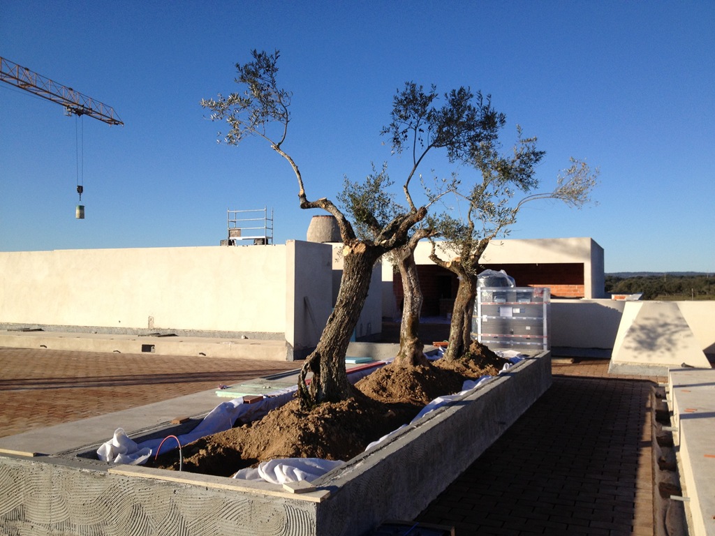 [IMG_0284%255B3%255D.jpg]