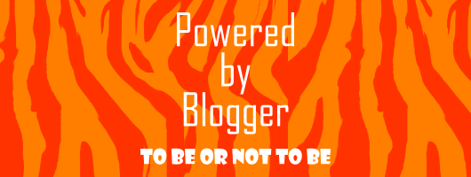 Lạm bàn một chút về bản quyền và tâm lý tự ti blog thiết kế - bàn luận về việc viết blog