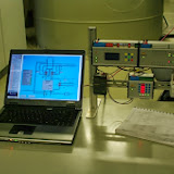 IMGP2112.JPG