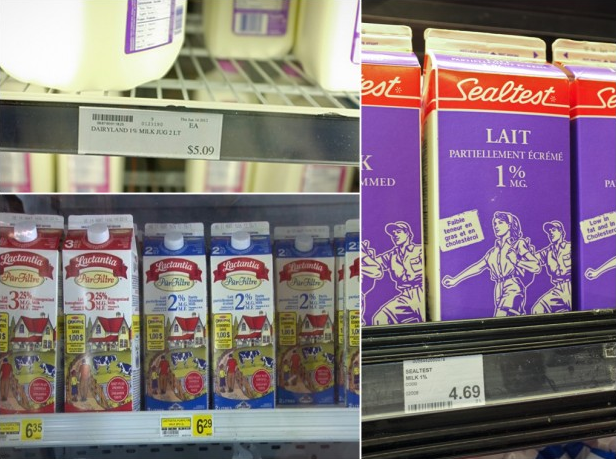 Counter-clockwise from top left, the price of a 2-litre carton of milk in Cambridge Bay and Pond Inlet compared to a downtown Toronto supermarket. Food prices in Nunavut are amongst the highest in Canada – a part of life largely attributed to the cost of transportation to High North communities. Evan Mitsui / CBC