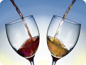 vino vino