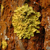 dsc07096.jpg